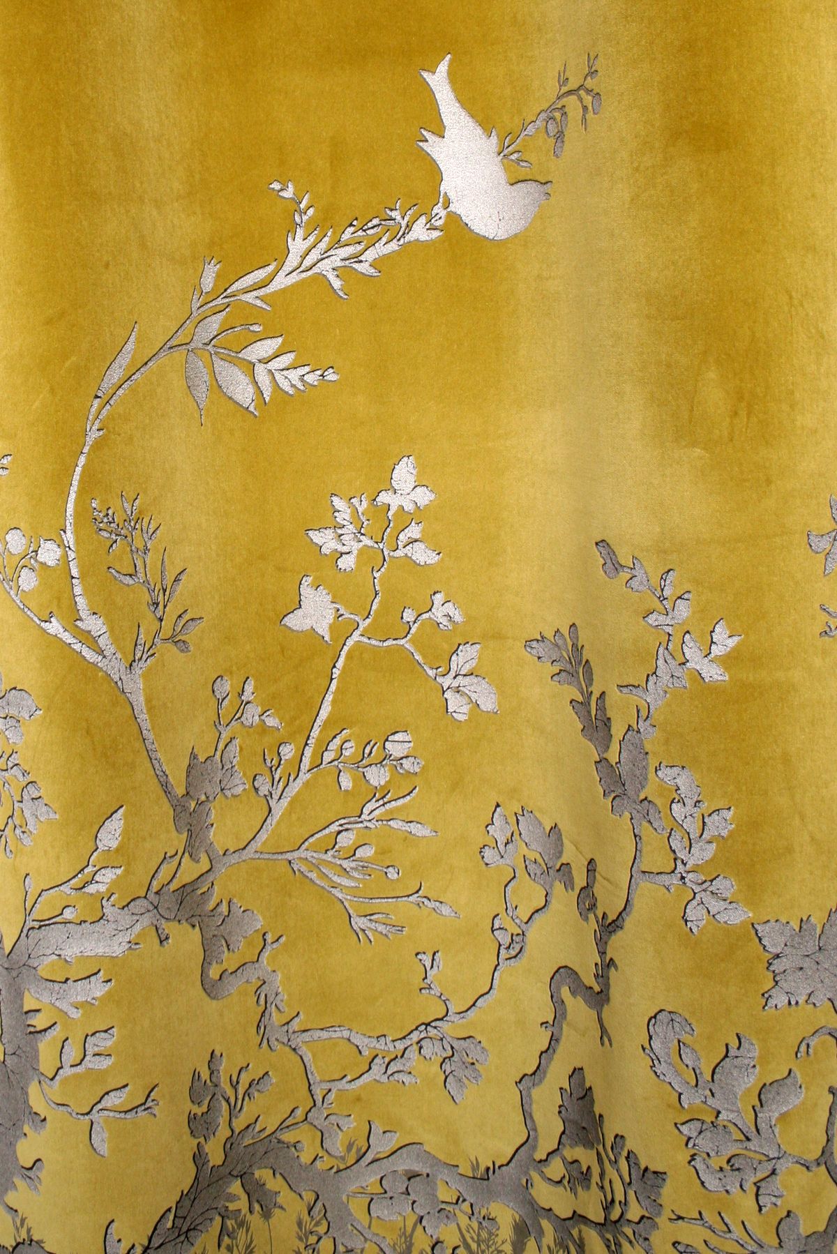 Canada - Representative