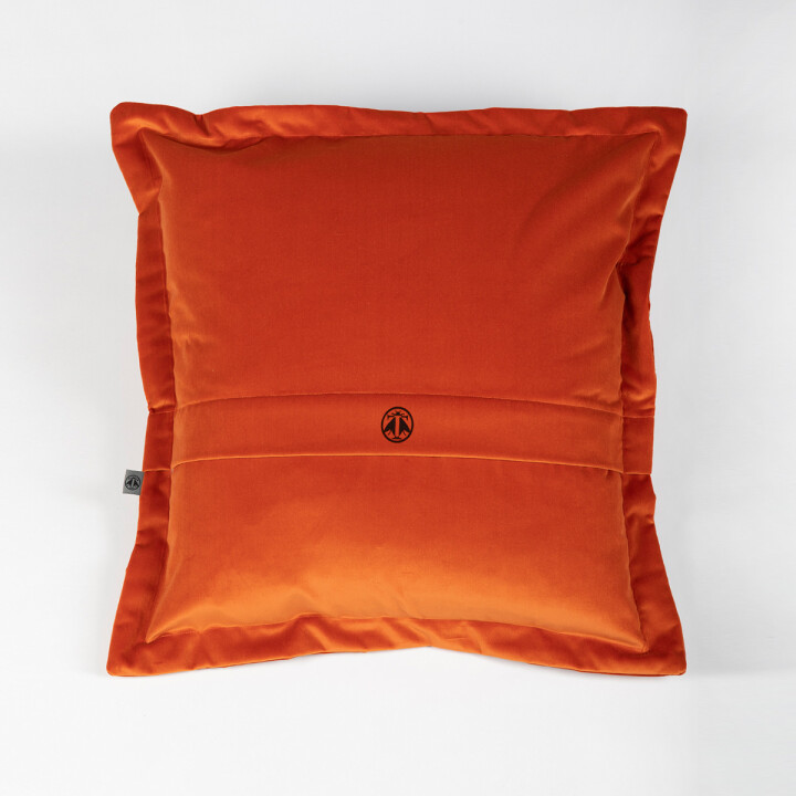 Thistle Velvet Cushion / image 2