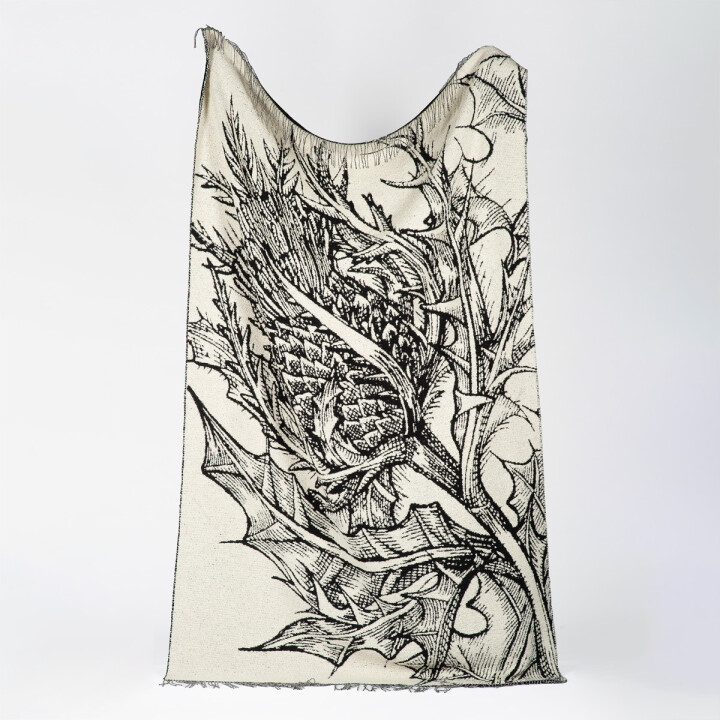 Thistle Throw / image 2