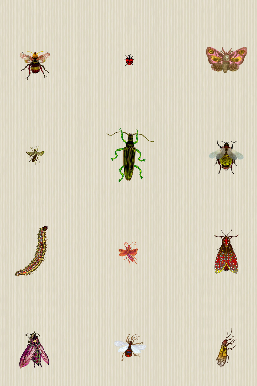 Coloful Bugs Wallpaper for Walls  Entomology